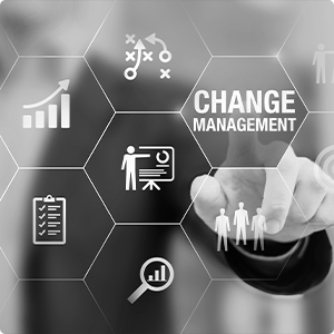 Change-Management BW