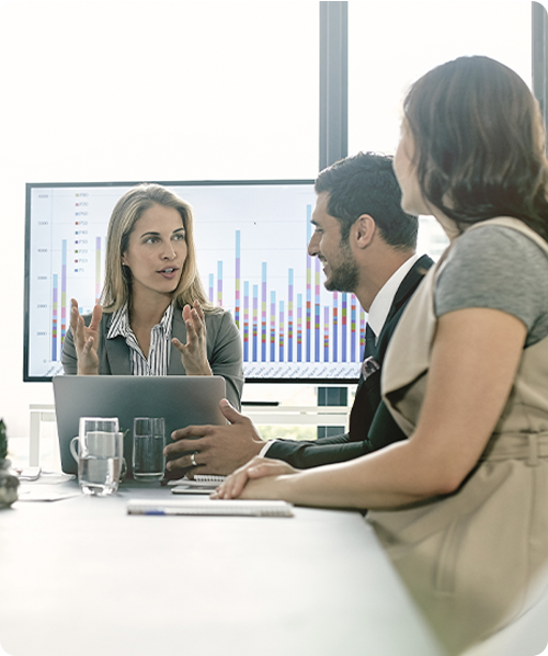 Program-Overview-Col